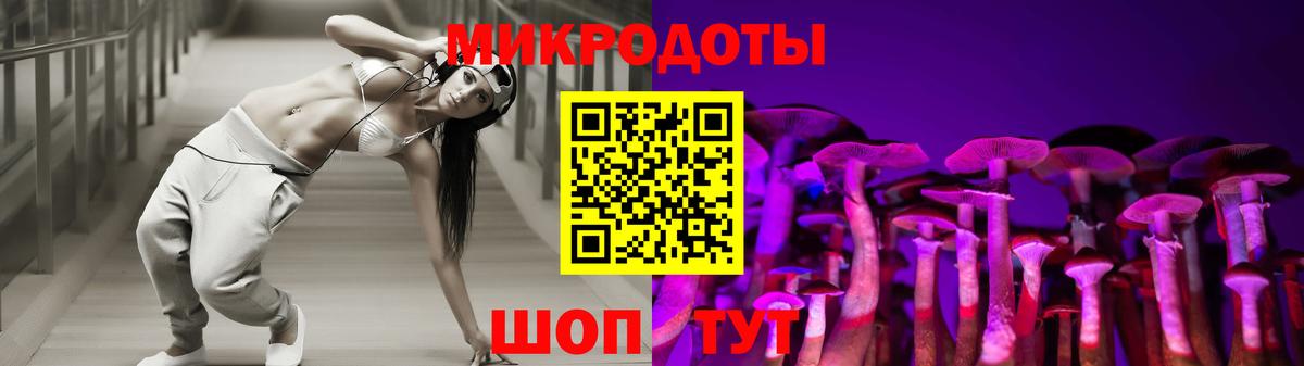 Псилоцибиновые грибы мухоморы Советская Гавань